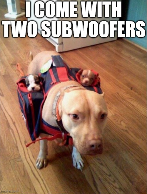 I Come With Two Subwoofers | I COME WITH TWO SUBWOOFERS | image tagged in chrisjoines1 | made w/ Imgflip meme maker