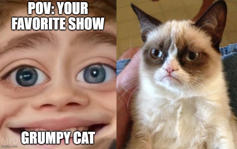 Mr Incredible becoming Loser: Your favorite show (Part 5) | POV: YOUR FAVORITE SHOW; GRUMPY CAT | image tagged in mrdweller phase 3,memes,grumpy cat | made w/ Imgflip meme maker