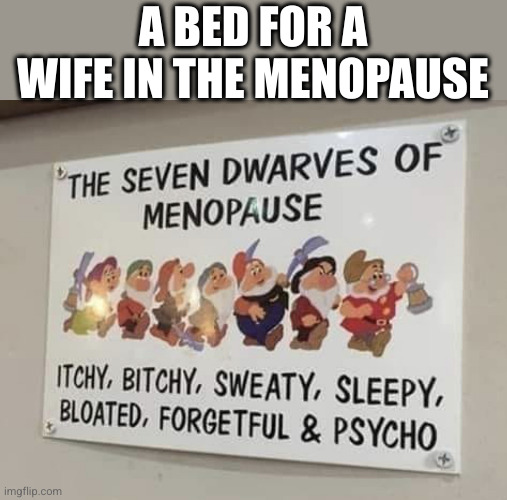 Seven dwarfs | A BED FOR A WIFE IN THE MENOPAUSE | image tagged in seven dwarfs | made w/ Imgflip meme maker