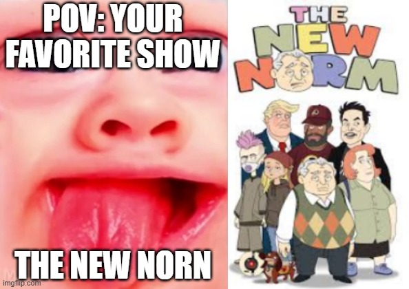 Mr Incredible becoming Loser: Your favorite show (Part 8) | POV: YOUR FAVORITE SHOW; THE NEW NORN | image tagged in mrdweller phase 5 | made w/ Imgflip meme maker