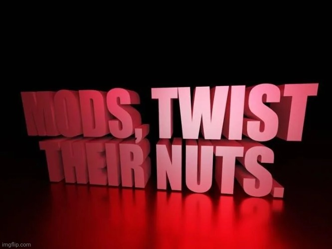 Mods, twist their nuts. | image tagged in mods twist their nuts | made w/ Imgflip meme maker