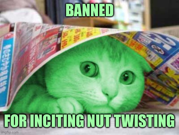RayCat Scared | BANNED FOR INCITING NUT TWISTING | image tagged in raycat scared | made w/ Imgflip meme maker