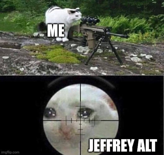 Sniper cat | ME JEFFREY ALT | image tagged in sniper cat | made w/ Imgflip meme maker