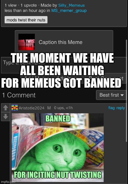 Are dream has came try memeus finally got banned | THE MOMENT WE HAVE ALL BEEN WAITING FOR MEMEUS GOT BANNED | made w/ Imgflip meme maker