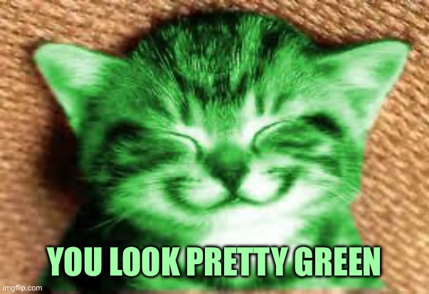 happy RayCat | YOU LOOK PRETTY GREEN | image tagged in happy raycat | made w/ Imgflip meme maker