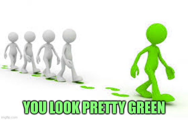 green leader | YOU LOOK PRETTY GREEN | image tagged in green leader | made w/ Imgflip meme maker