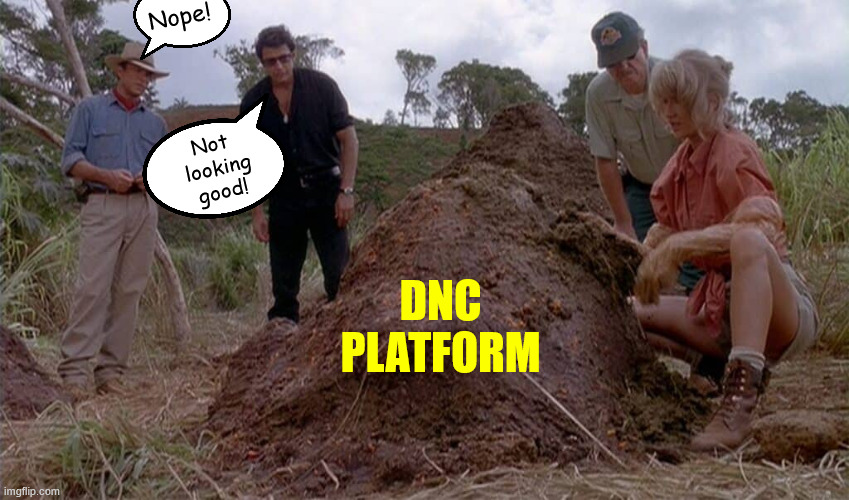 Nope! Not 
looking
good! DNC
PLATFORM | made w/ Imgflip meme maker