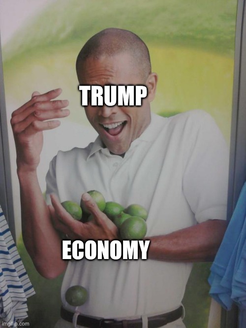 Why Can't I Hold All These Limes Meme | TRUMP; ECONOMY | image tagged in memes,why can't i hold all these limes | made w/ Imgflip meme maker