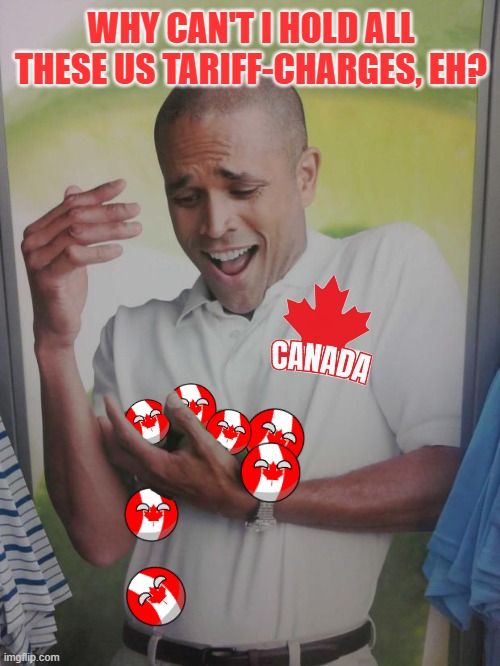 Beauty, Eh? | WHY CAN'T I HOLD ALL THESE US TARIFF-CHARGES, EH? | image tagged in memes,why can't i hold all these limes | made w/ Imgflip meme maker
