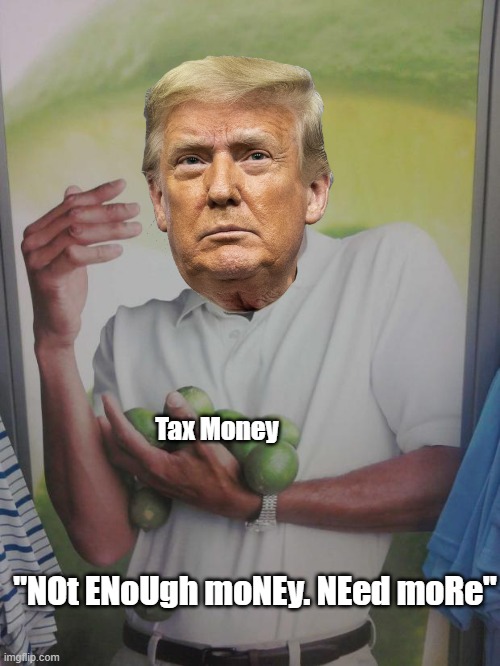 Why Can't I Hold All These Limes | Tax Money; "NOt ENoUgh moNEy. NEed moRe" | image tagged in memes,why can't i hold all these limes | made w/ Imgflip meme maker