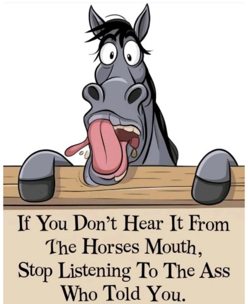 The Horse's Mouth | image tagged in the horses mouth | made w/ Imgflip meme maker