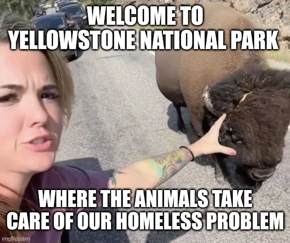 TikTok Karen tries to pet bison | WELCOME TO YELLOWSTONE NATIONAL PARK; WHERE THE ANIMALS TAKE CARE OF OUR HOMELESS PROBLEM | image tagged in tiktok karen tries to pet bison | made w/ Imgflip meme maker