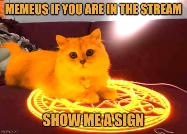 RayCat Powers | MEMEUS IF YOU ARE IN THE STREAM SHOW ME A SIGN | image tagged in raycat powers | made w/ Imgflip meme maker