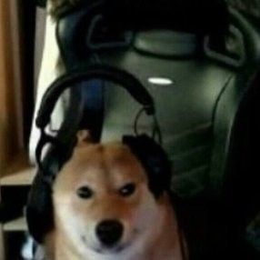 Shiba headphones Blank Meme Template
