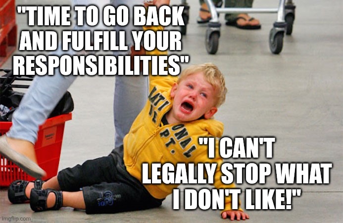 kid on floor in supermarket | "TIME TO GO BACK AND FULFILL YOUR RESPONSIBILITIES" "I CAN'T LEGALLY STOP WHAT I DON'T LIKE!" | image tagged in kid on floor in supermarket | made w/ Imgflip meme maker