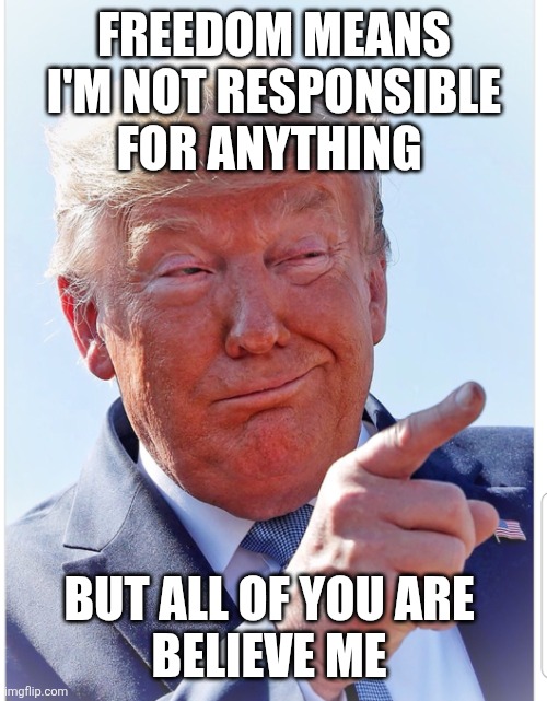 Trump pointing | FREEDOM MEANS
 I'M NOT RESPONSIBLE 

FOR ANYTHING BUT ALL OF YOU ARE 
BELIEVE ME | image tagged in trump pointing | made w/ Imgflip meme maker