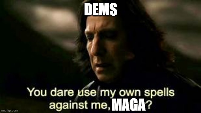 Redistricting | DEMS; MAGA | image tagged in snape meme | made w/ Imgflip meme maker