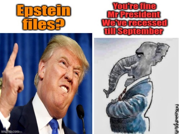 We're gonna protect your guilty butt, Mr President. | image tagged in donald trump,congress recess till september,protect the trump and elite,maga man love trump | made w/ Imgflip meme maker
