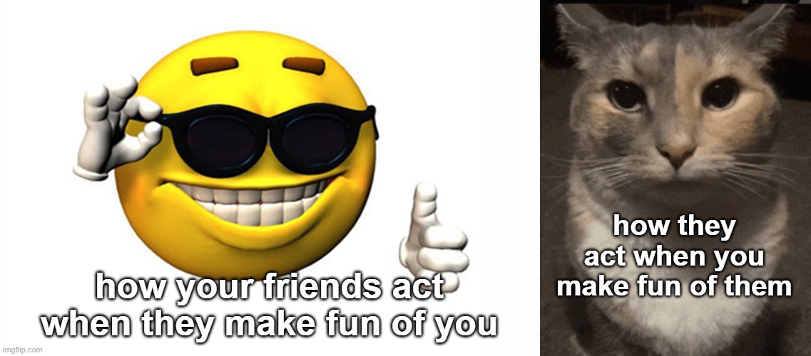 how they act when you make fun of them; how your friends act when they make fun of you | image tagged in meme smile,cat dead stare | made w/ Imgflip meme maker