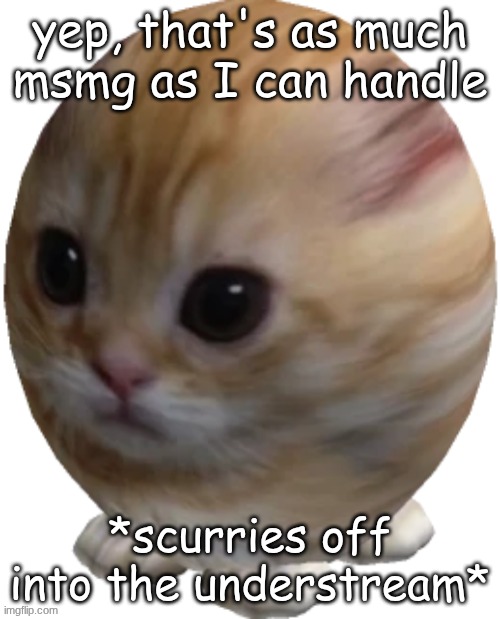 egg gatito | yep, that's as much msmg as I can handle; *scurries off into the understream* | image tagged in egg gatito | made w/ Imgflip meme maker