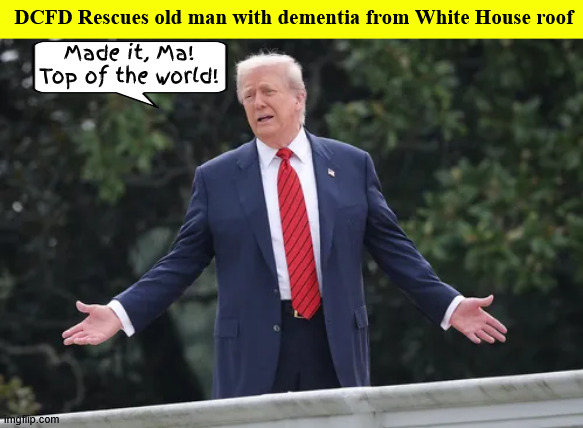 Roof rats | DCFD Rescues old man with dementia from White House roof; Made it, Ma! Top of the world! | image tagged in roof rats,rat on a hot tin roof,diddler on the roof,old man yells at cloud,jump,divert from epstein scandal | made w/ Imgflip meme maker