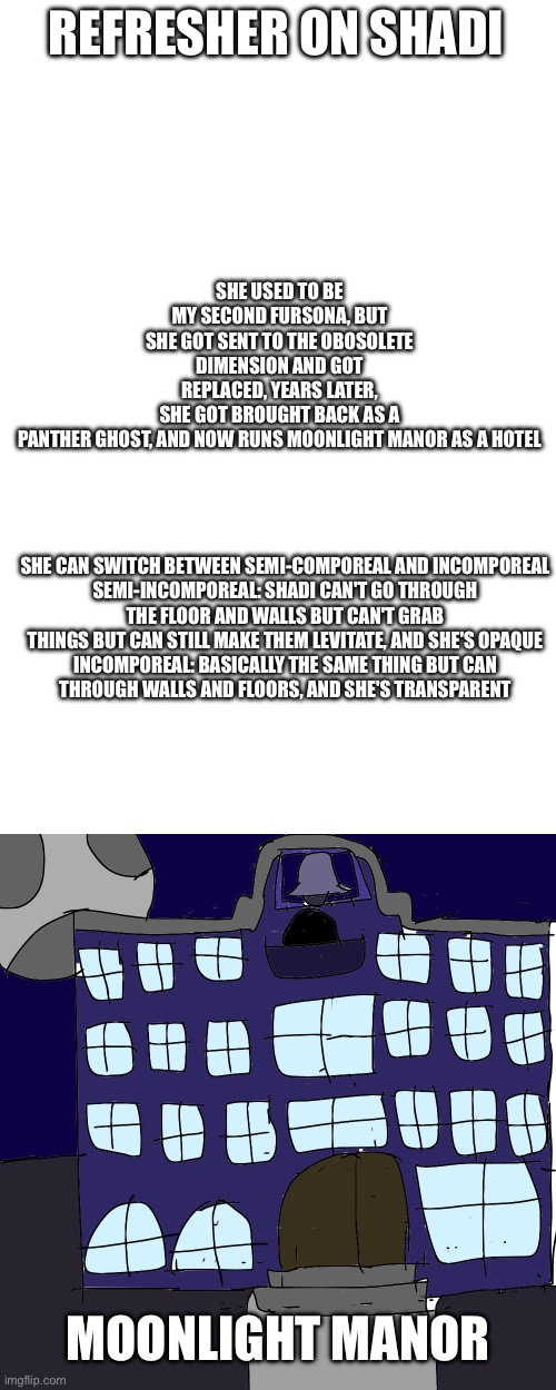 Sans of topic | SHE USED TO BE MY SECOND FURSONA, BUT SHE GOT SENT TO THE OBOSOLETE DIMENSION AND GOT REPLACED, YEARS LATER, SHE GOT BROUGHT BACK AS A PANTHER GHOST, AND NOW RUNS MOONLIGHT MANOR AS A HOTEL; REFRESHER ON SHADI; SHE CAN SWITCH BETWEEN SEMI-COMPOREAL AND INCOMPOREAL

SEMI-INCOMPOREAL: SHADI CAN'T GO THROUGH THE FLOOR AND WALLS BUT CAN'T GRAB THINGS BUT CAN STILL MAKE THEM LEVITATE, AND SHE'S OPAQUE

INCOMPOREAL: BASICALLY THE SAME THING BUT CAN THROUGH WALLS AND FLOORS, AND SHE'S TRANSPARENT; MOONLIGHT MANOR | made w/ Imgflip meme maker