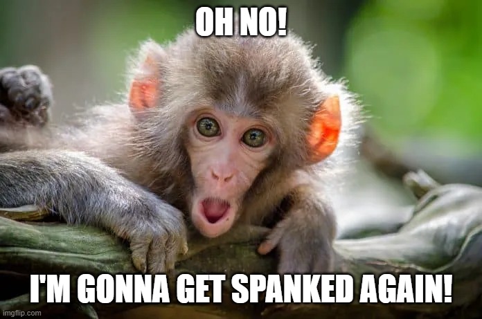 Scared Monkey | OH NO! I'M GONNA GET SPANKED AGAIN! | image tagged in scared monkey | made w/ Imgflip meme maker