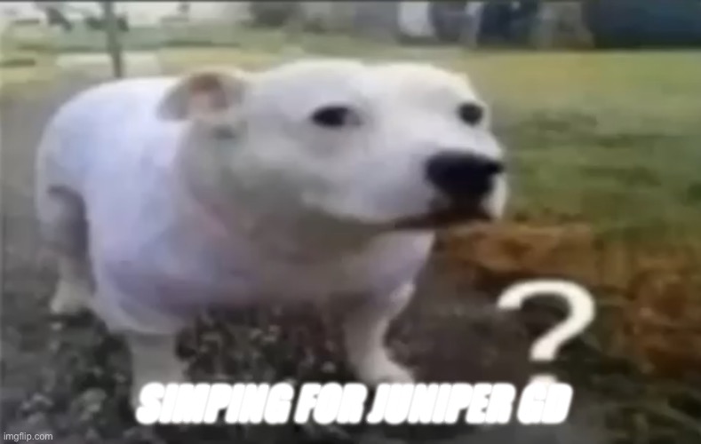 ? | SIMPING FOR JUNIPER GD | made w/ Imgflip meme maker