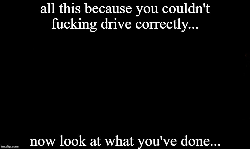 ... | all this because you couldn't fucking drive correctly... now look at what you've done... | made w/ Imgflip meme maker