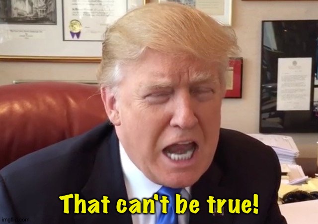 trump crying | That can't be true! | image tagged in trump crying | made w/ Imgflip meme maker