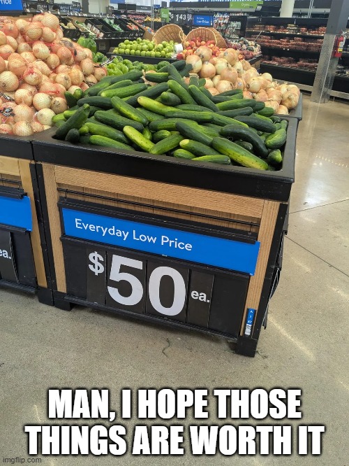 Pricey | MAN, I HOPE THOSE THINGS ARE WORTH IT | image tagged in you had one job | made w/ Imgflip meme maker