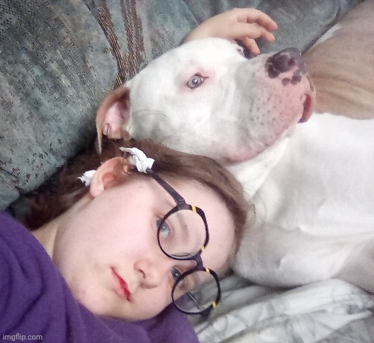 Dog (ignore the tissue on my glasses he chewed them a couple of days ago and it's uncomfortable) | made w/ Imgflip meme maker