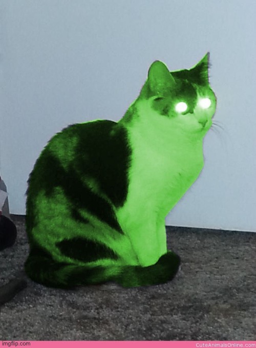 Hypno Raycat | image tagged in hypno raycat | made w/ Imgflip meme maker