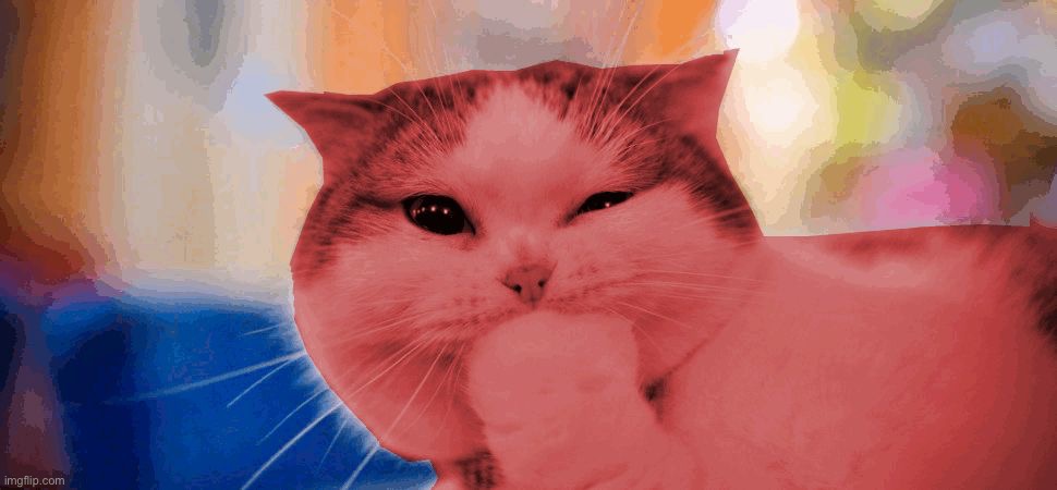 RayCat laughing | image tagged in raycat laughing | made w/ Imgflip meme maker