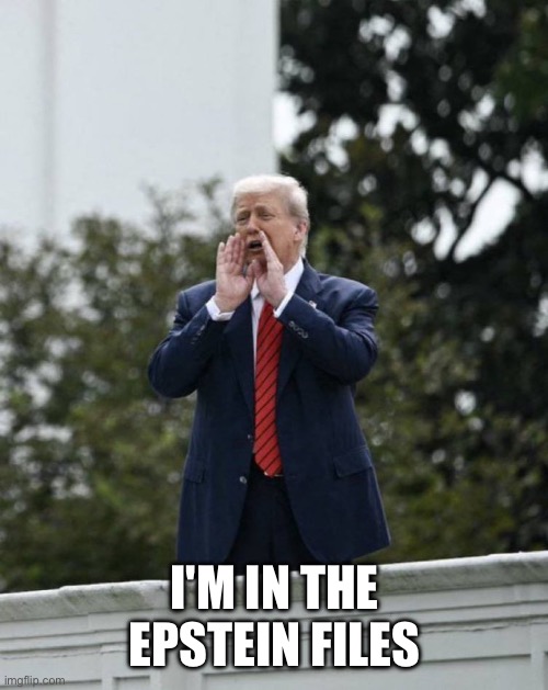 Trump talking to reporters | I'M IN THE EPSTEIN FILES | image tagged in trump on the roof | made w/ Imgflip meme maker