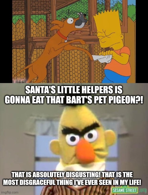 Bert's reaction to the naughty dog Santa's Little Helper eats Bart's pet pigeon. | SANTA'S LITTLE HELPERS IS GONNA EAT THAT BART'S PET PIGEON?! THAT IS ABSOLUTELY DISGUSTING! THAT IS THE MOST DISGRACEFUL THING I'VE EVER SEEN IN MY LIFE! | image tagged in sesame street - angry bert,the simpsons,pigeon,santas little helper,disgusting | made w/ Imgflip meme maker