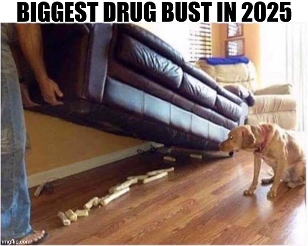 Biggest Drug Bust In 2025 | BIGGEST DRUG BUST IN 2025 | image tagged in chrisjoines1 | made w/ Imgflip meme maker