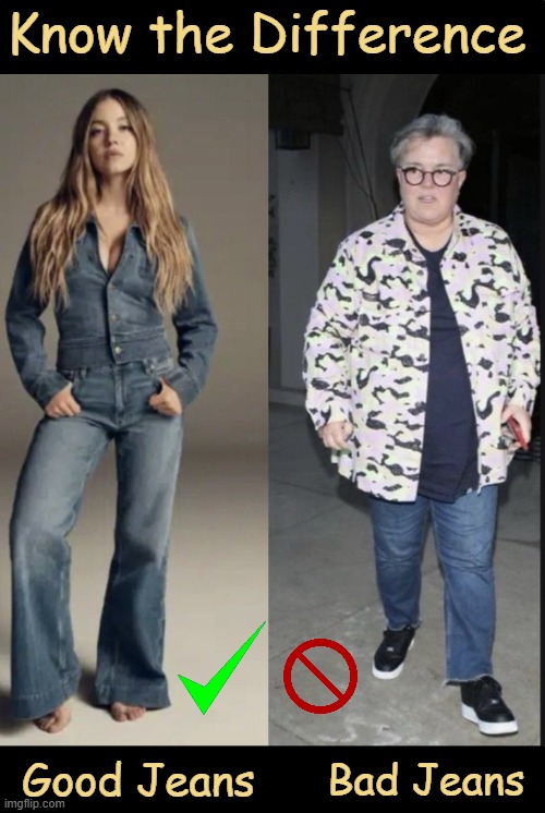Liberals' Guide to Good Genes | Know the Difference; Good Jeans; Bad Jeans | image tagged in obviously,good vs bad,the truth,beauty and the beast,political humor | made w/ Imgflip meme maker