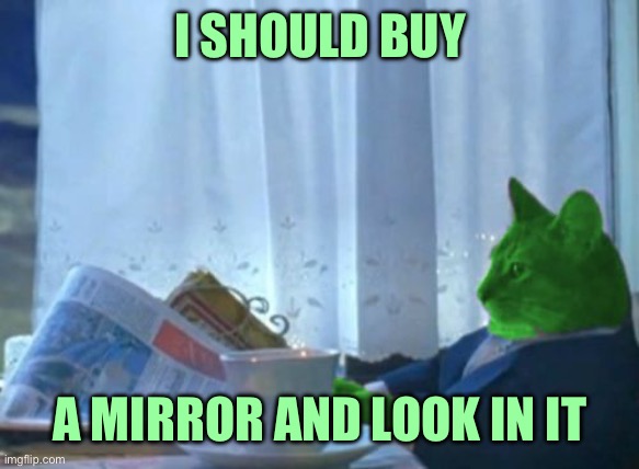 I Should Buy a Boat RayCat | I SHOULD BUY A MIRROR AND LOOK IN IT | image tagged in i should buy a boat raycat | made w/ Imgflip meme maker