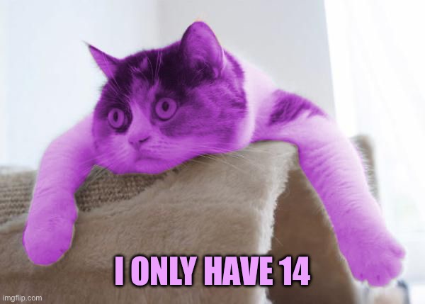 RayCat Stare | I ONLY HAVE 14 | image tagged in raycat stare | made w/ Imgflip meme maker