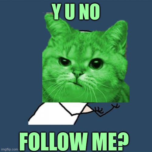 Y U No | Y U NO; FOLLOW ME? | image tagged in memes,y u no | made w/ Imgflip meme maker
