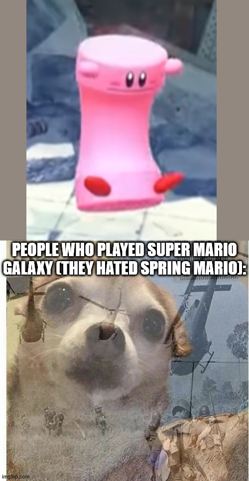 PTSD Chihuahua | PEOPLE WHO PLAYED SUPER MARIO GALAXY (THEY HATED SPRING MARIO): | image tagged in ptsd chihuahua,kirby | made w/ Imgflip meme maker