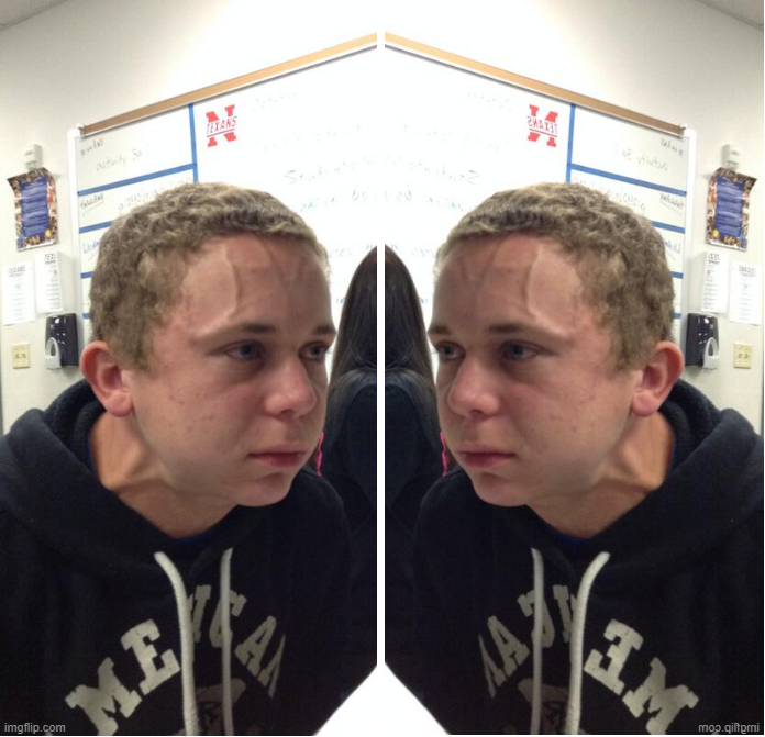 Hold Fart Mirror Blank Meme Template