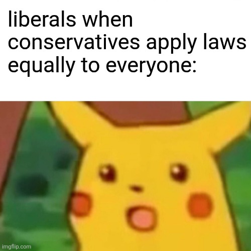 Surprised Pikachu Meme | liberals when conservatives apply laws equally to everyone: | image tagged in memes,surprised pikachu | made w/ Imgflip meme maker