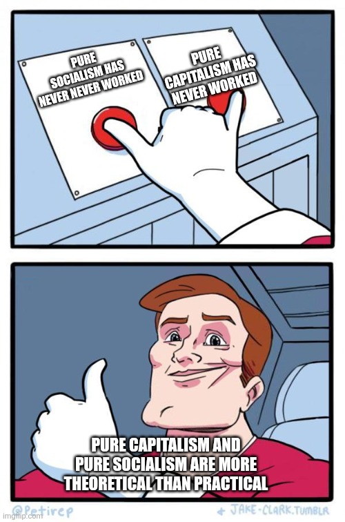Every successful capitalist country utilizes a mixed economy. | PURE CAPITALISM HAS NEVER WORKED; PURE SOCIALISM HAS NEVER NEVER WORKED; PURE CAPITALISM AND PURE SOCIALISM ARE MORE THEORETICAL THAN PRACTICAL | image tagged in pressing both buttons,capitalism,socialism | made w/ Imgflip meme maker