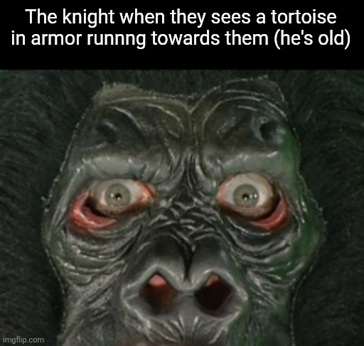 spongebob gorilla | The knight when they sees a tortoise in armor runnng towards them (he's old) | image tagged in spongebob gorilla | made w/ Imgflip meme maker