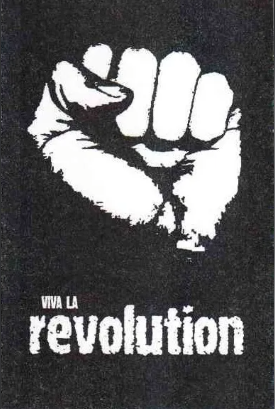 Hobie Revolution Blank Meme Template