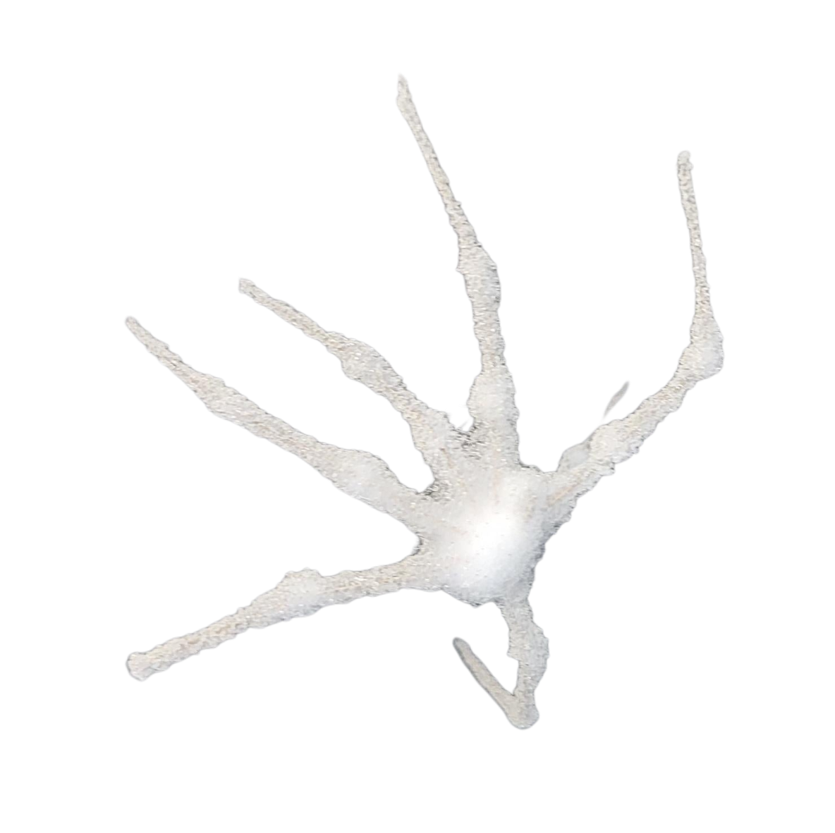 White spider Blank Meme Template