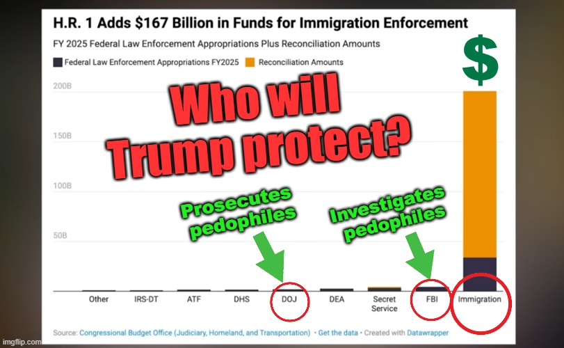 Who is Trump protecting | Who will
Trump protect? Investigates 
pedophiles; Prosecutes 
pedophiles | image tagged in spending,donald trump,trump bill signing,trump,child abuse,jeffrey epstein | made w/ Imgflip meme maker