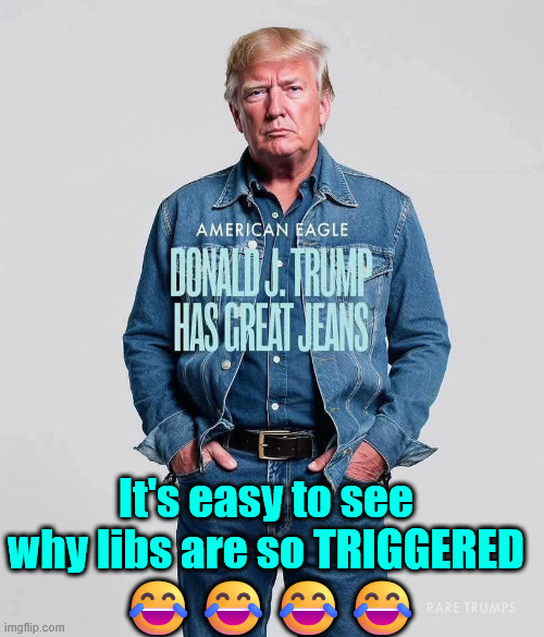 Anything Trump triggers the lib cult | ???? It's easy to see why libs are so TRIGGERED | image tagged in triggered liberal | made w/ Imgflip meme maker